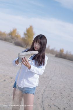 孤战迷城电视剧